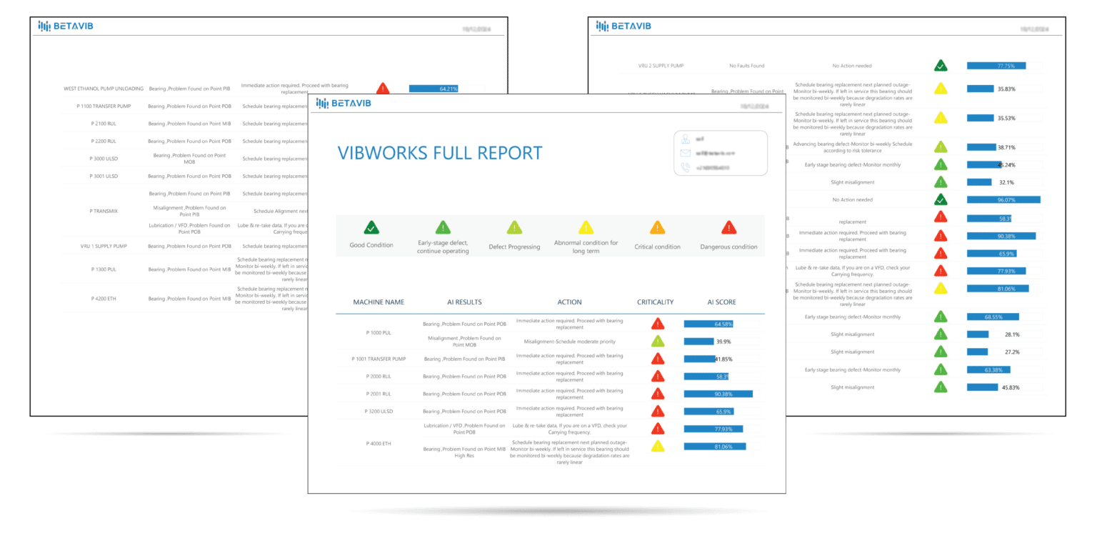 Informe completo VibWorks generado por VibWise