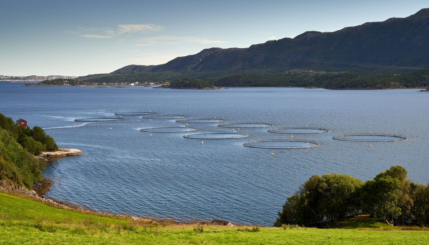 Pesca y Acuicultura